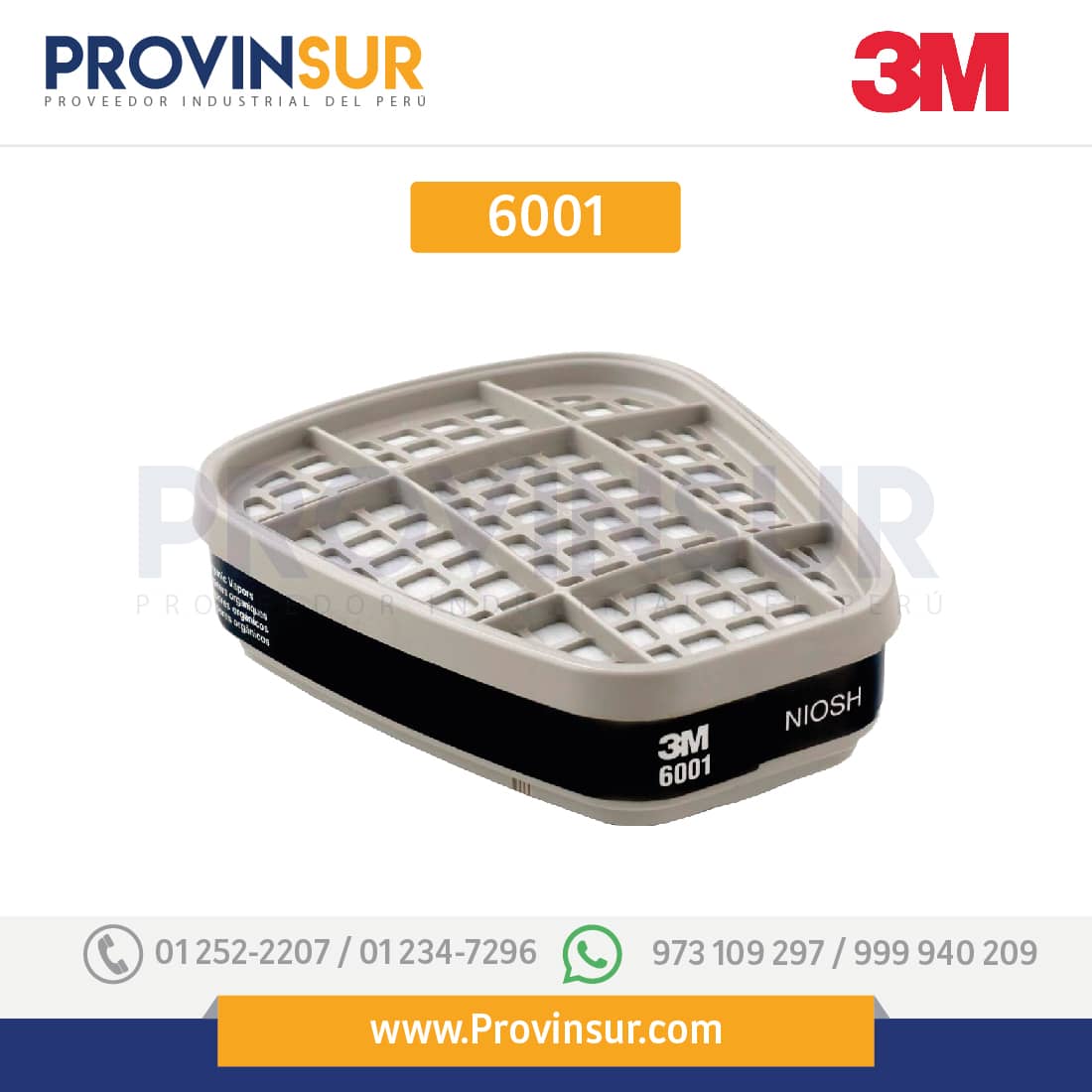 6001-2.jpg