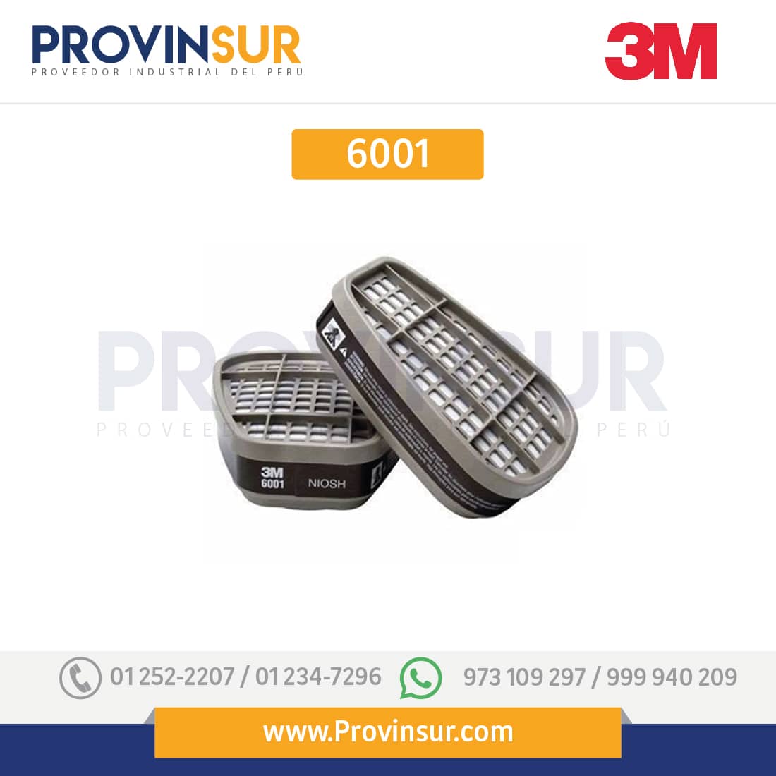 6001.jpg