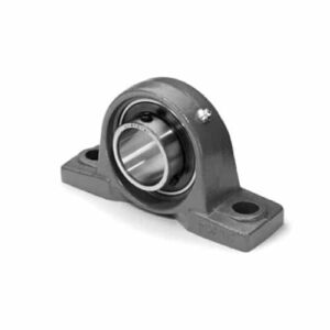 CHUMACERA DE PIE INOX 30 MM SS-UCP 206 ZSG