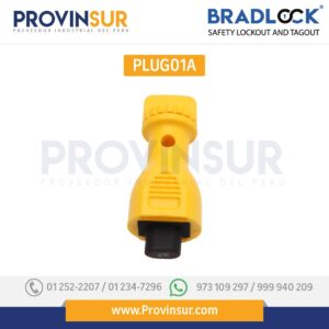 BLOQUEO ELECTRÓNICO 33MMX130MMX29MM PLUG01A BRADLOCK